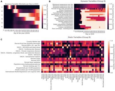 A time-course prediction model of global COVID-19 mortality